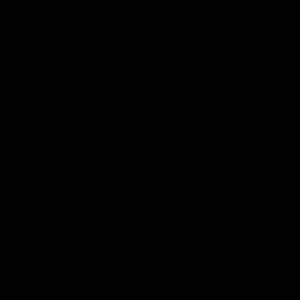 Meet your Posher, Samuel